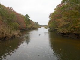 Near Herring Run IMG 4199